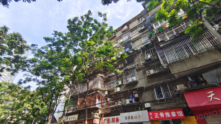 三多里84号外景图