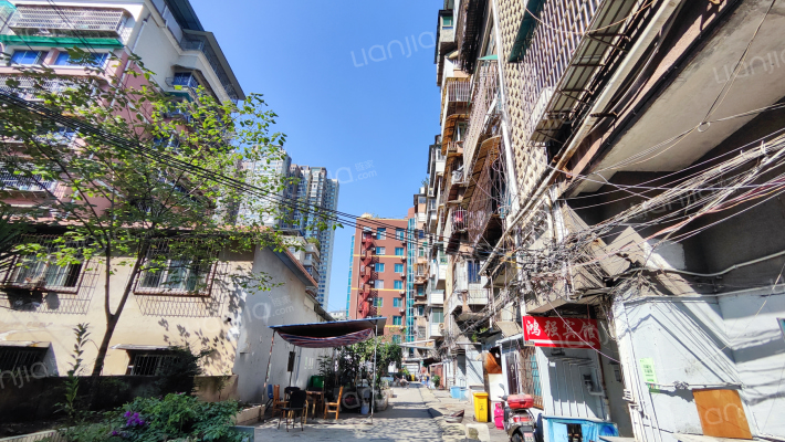 蓑草路40号外景图