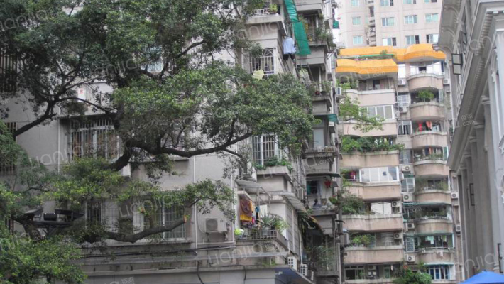 财厅大院外景图