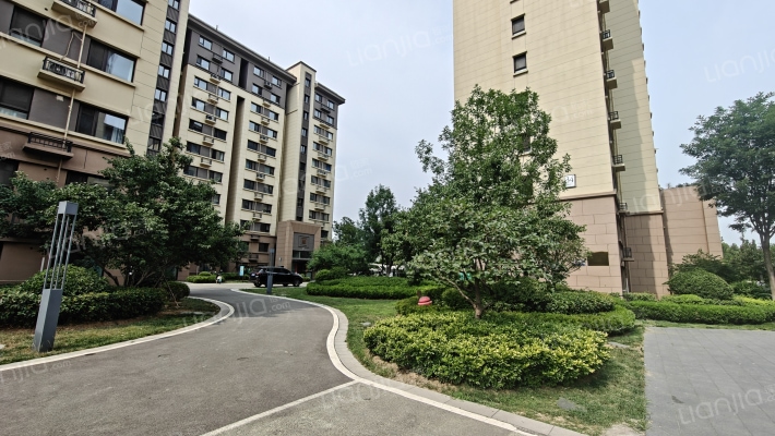 中南·紫云集外景图