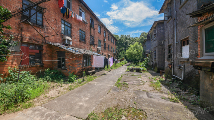 南井路供电局宿舍（南井路1611、327、1196、218、355、39号）外景图