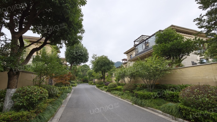 青城山语间外景图