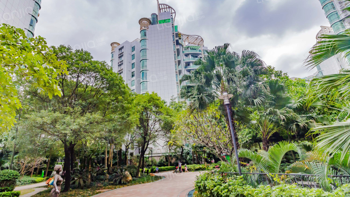 星河新天地外景图