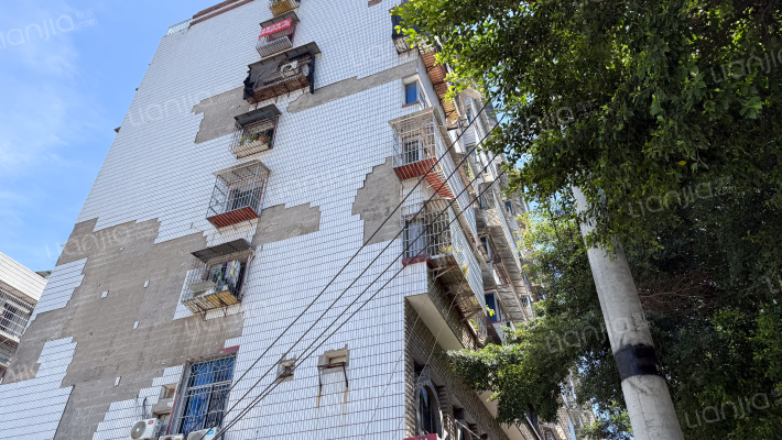 上海大道19号外景图