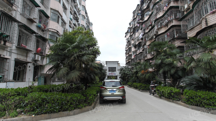 迎花花园外景图