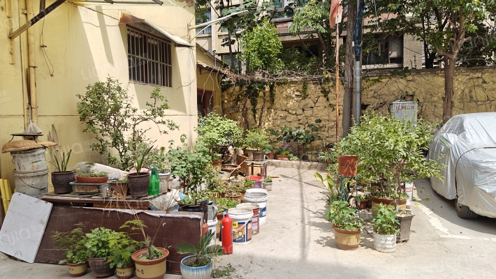 徐钢七宿舍外景图