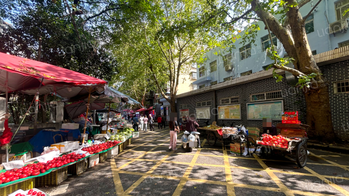 兴庆幼儿园家属院外景图