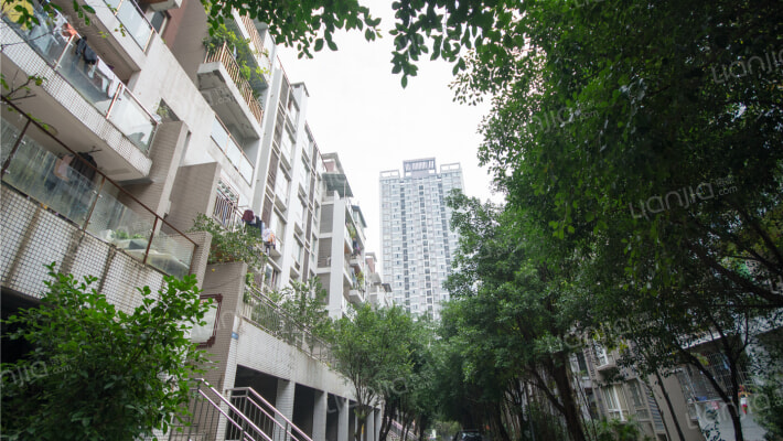 法院小区外景图