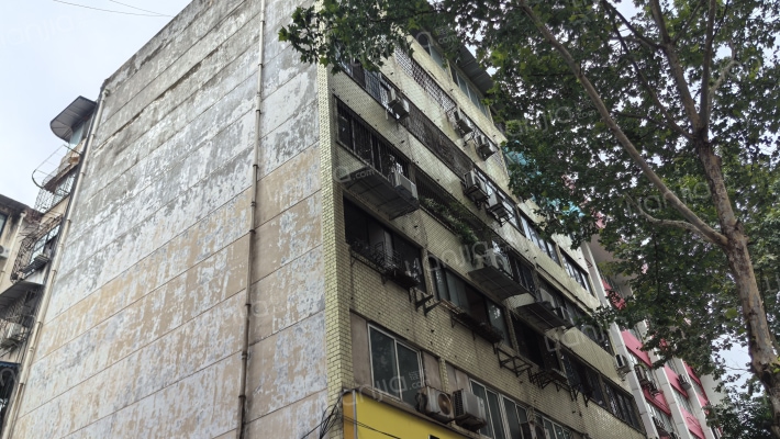 布后街8号外景图