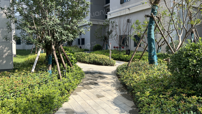 城投联投江南岸B区外景图