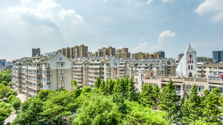 大树金港湾外景图