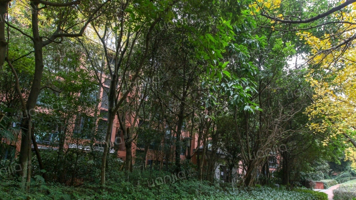 天景雨山前四期外景图