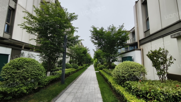 云栖龙山外景图