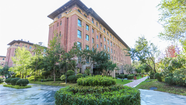 新湖青蓝国际外景图