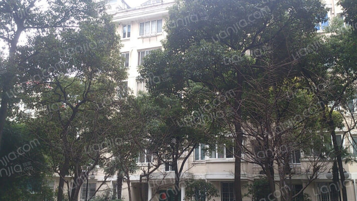 城城金岛苑外景图