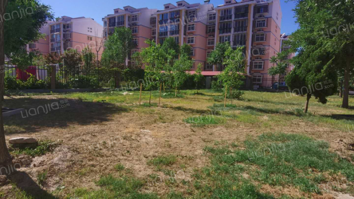 明城东岸外景图