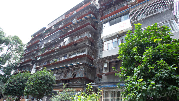 群和街2号外景图