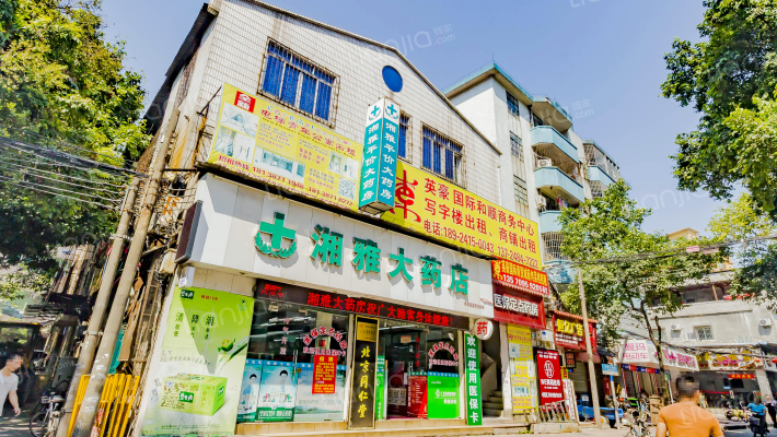 东圃二马路外景图