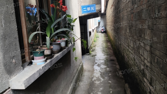 唐安西路54号外景图