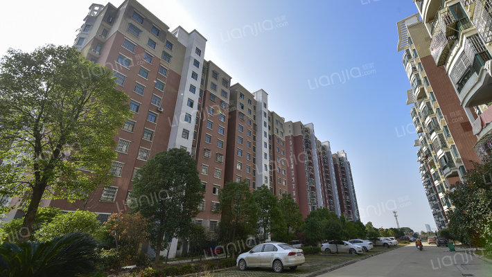 新阳花苑外景图