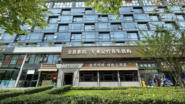 中粮天府宸悦外景图