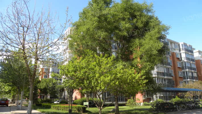 天地新城C区外景图