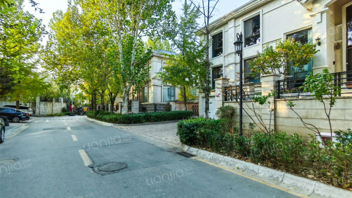 棕榈滩金棕榈外景图