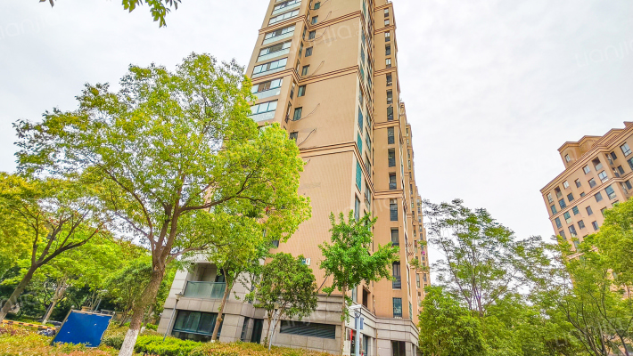 开元悦都外景图