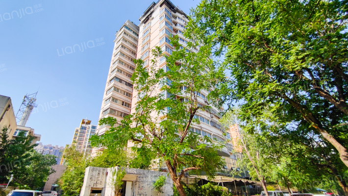 黄金花园外景图