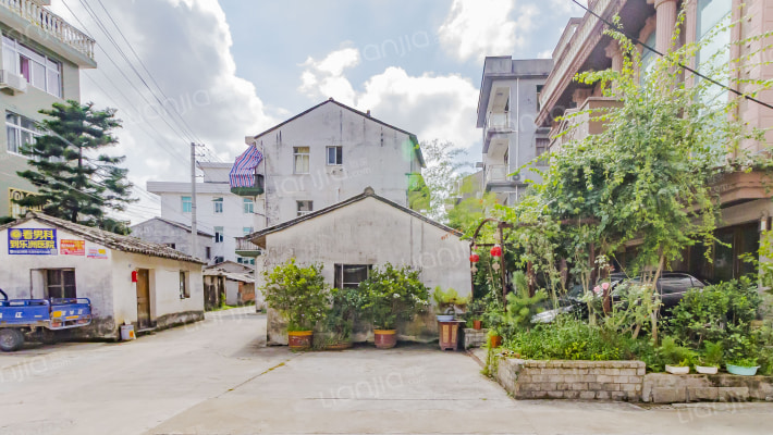 虹桥镇埭下村外景图