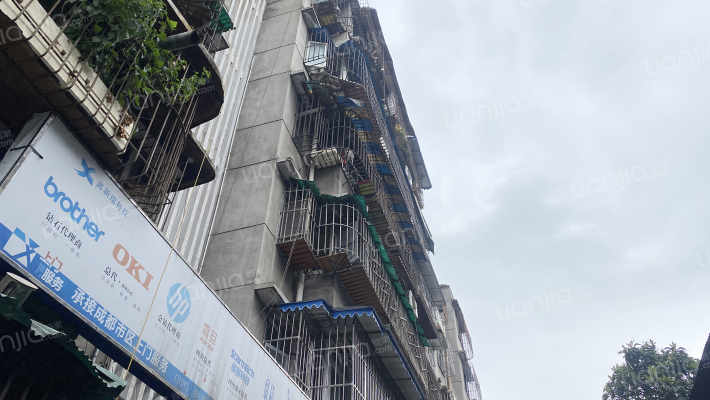 科华巷11号外景图