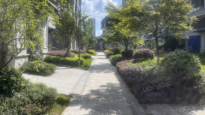 滨江天悦湾外景图