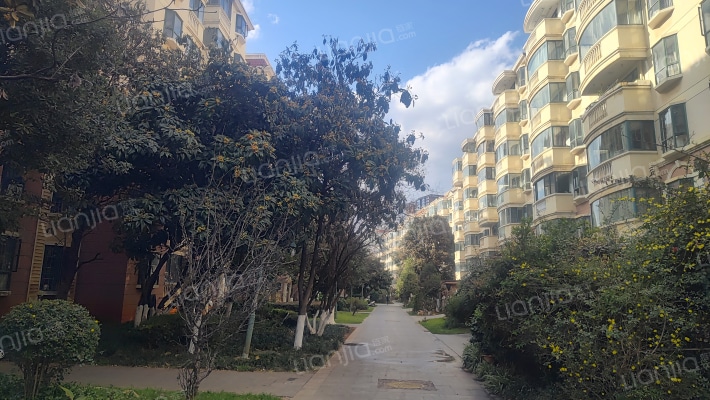 江东花城外景图