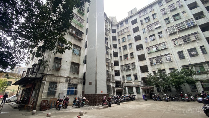 海口供电公司宿舍外景图