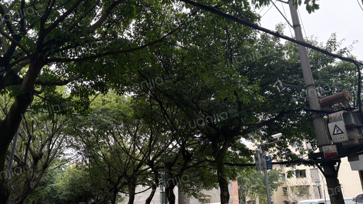 建设路17号外景图