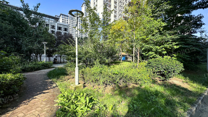 嘉天弥香郡外景图