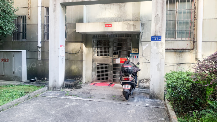 泰格林纸外景图