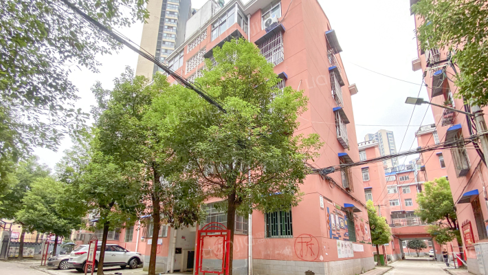 紫蓬花园外景图