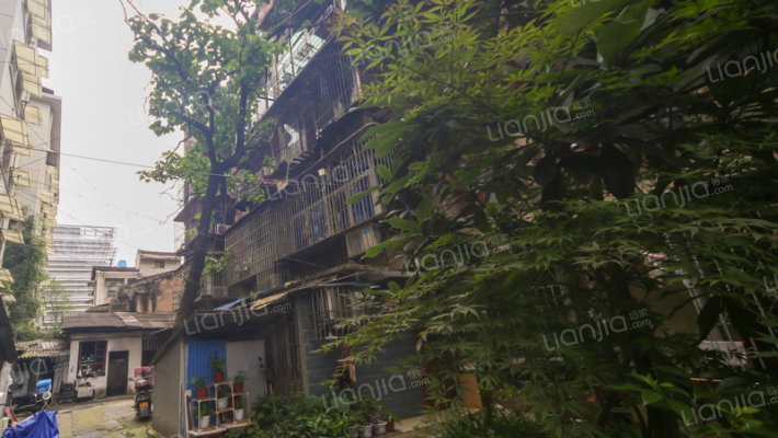 民主后街外景图