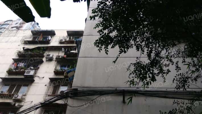 老马路12号外景图