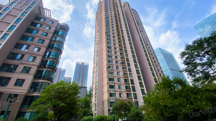 地王国际花园外景图