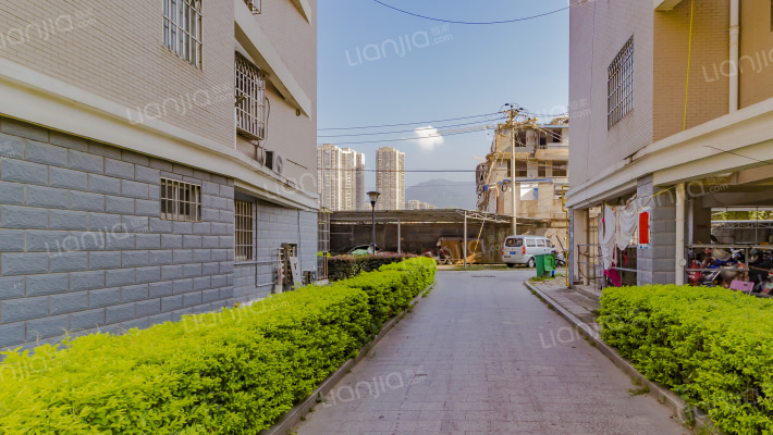 厦坊小区外景图