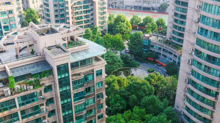 采荷人家外景图