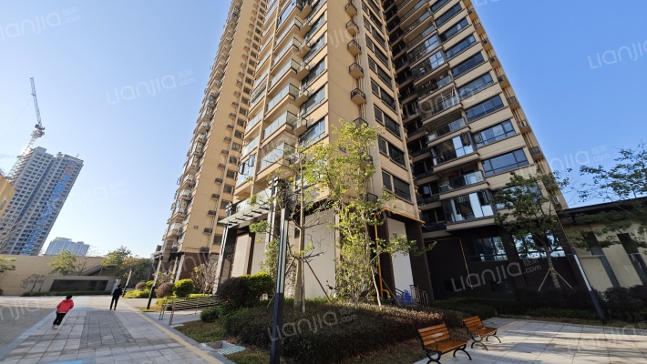 红树南庭外景图