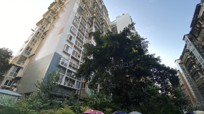 罄和家园外景图