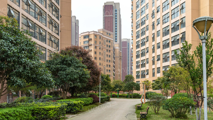 康乃馨国际老年生活示范城外景图