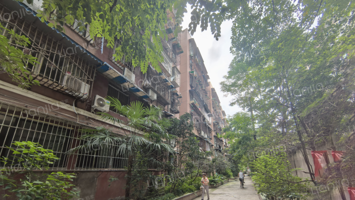 东风路北一巷1号外景图