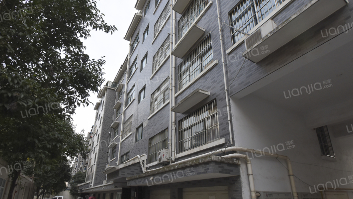 文会雅苑外景图