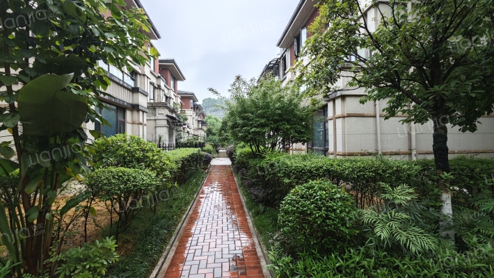 渝开发星河one外景图