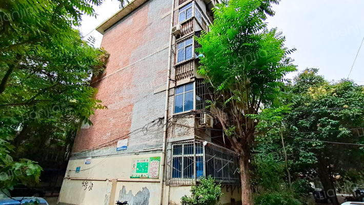 市三院北家属院外景图